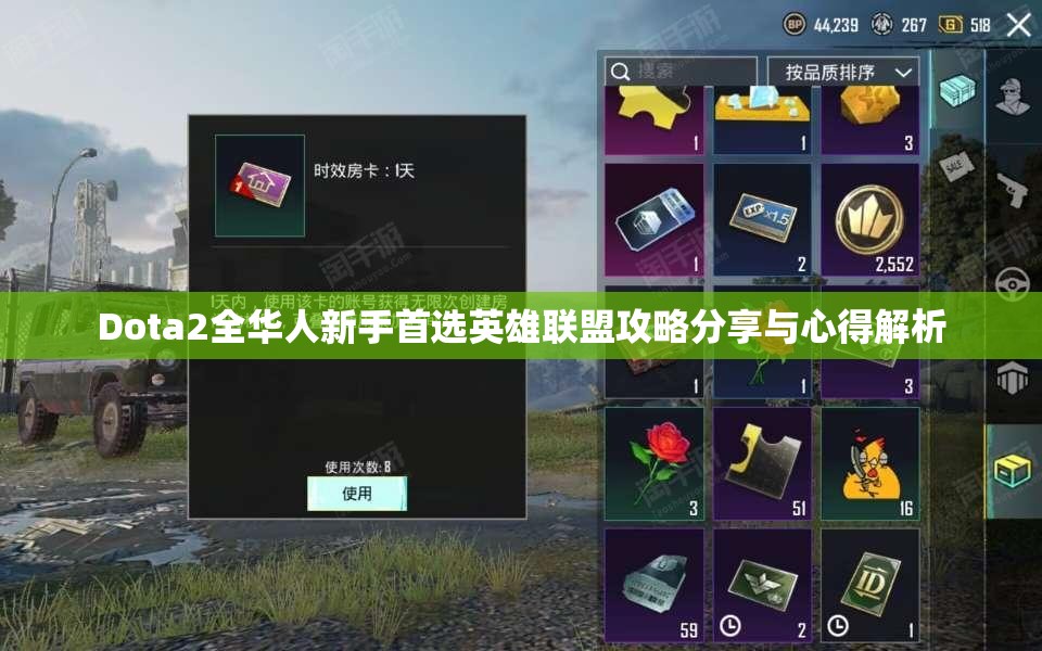 Dota2全华人新手首选英雄联盟攻略分享与心得解析