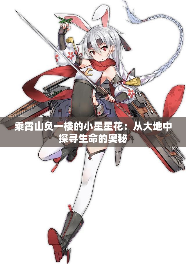 乘霄山负一楼的小星星花：从大地中探寻生命的奥秘