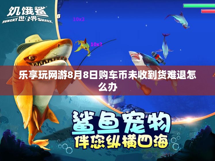 乐享玩网游8月8日购车币未收到货难退怎么办