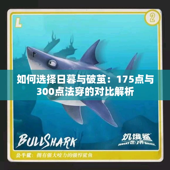 如何选择日暮与破茧：175点与300点法穿的对比解析