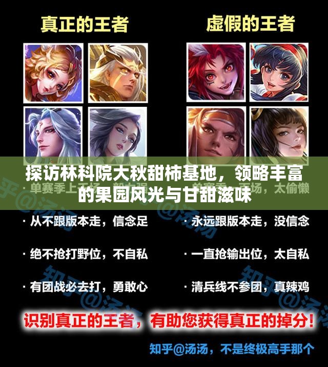 探访林科院大秋甜柿基地，领略丰富的果园风光与甘甜滋味