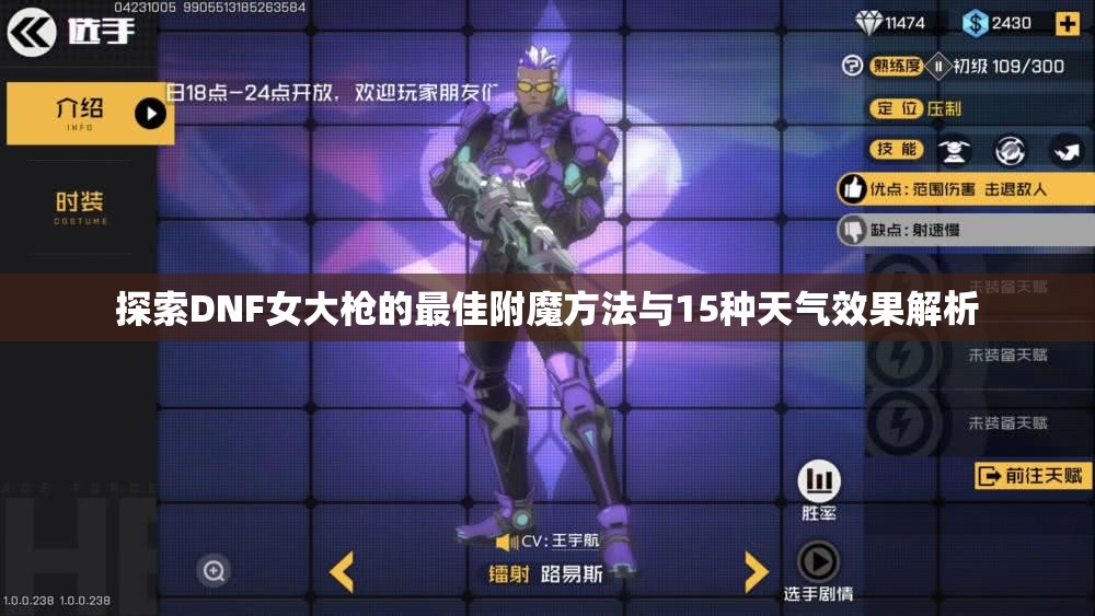 探索DNF女大枪的最佳附魔方法与15种天气效果解析