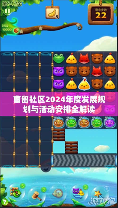 曹留社区2024年度发展规划与活动安排全解读