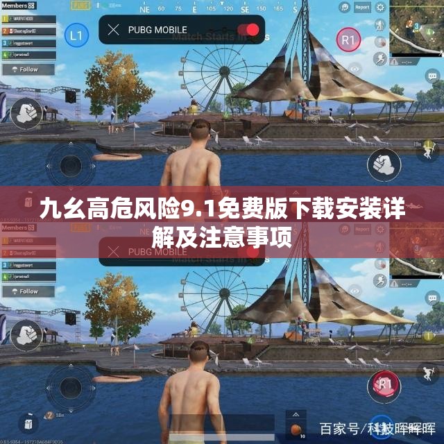 九幺高危风险9.1免费版下载安装详解及注意事项