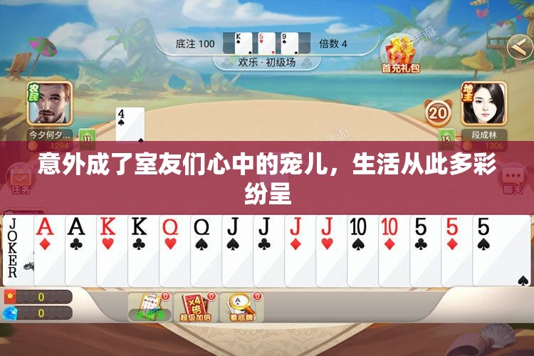 意外成了室友们心中的宠儿，生活从此多彩纷呈