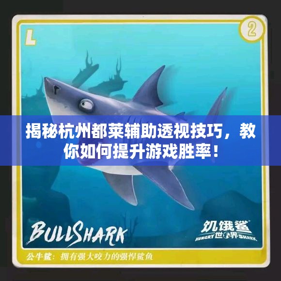 揭秘杭州都莱辅助透视技巧，教你如何提升游戏胜率！