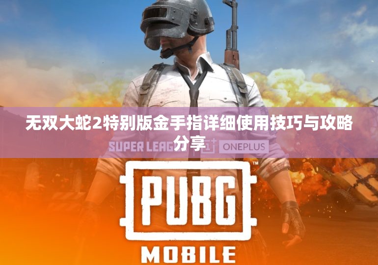 无双大蛇2特别版金手指详细使用技巧与攻略分享