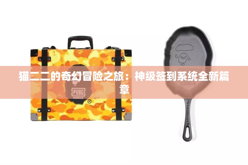 猫二二的奇幻冒险之旅：神级签到系统全新篇章