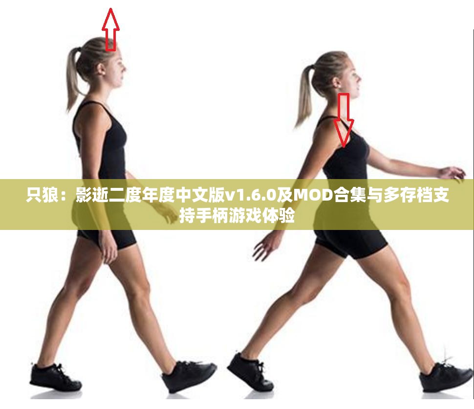 只狼：影逝二度年度中文版v1.6.0及MOD合集与多存档支持手柄游戏体验