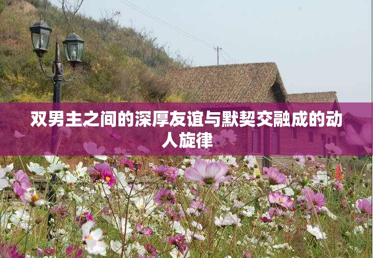 双男主之间的深厚友谊与默契交融成的动人旋律