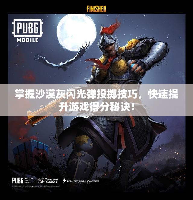 掌握沙漠灰闪光弹投掷技巧，快速提升游戏得分秘诀！
