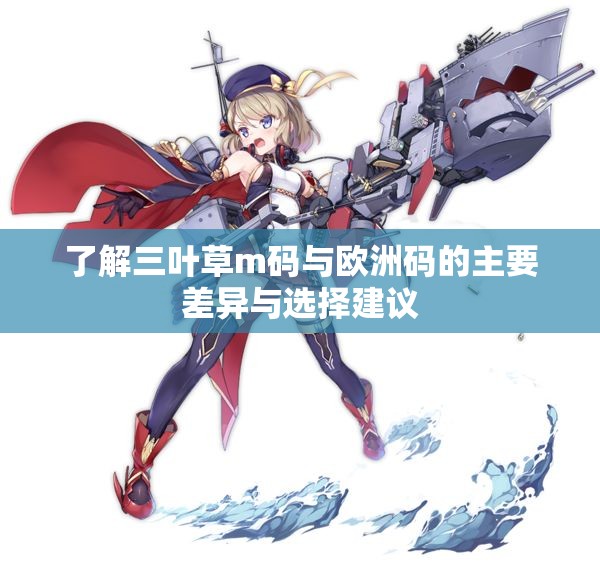 了解三叶草m码与欧洲码的主要差异与选择建议