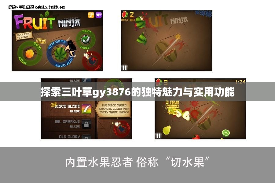 探索三叶草gy3876的独特魅力与实用功能