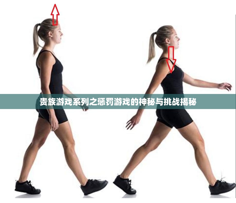 贵族游戏系列之惩罚游戏的神秘与挑战揭秘