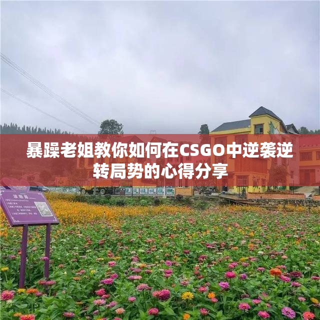 暴躁老姐教你如何在CSGO中逆袭逆转局势的心得分享