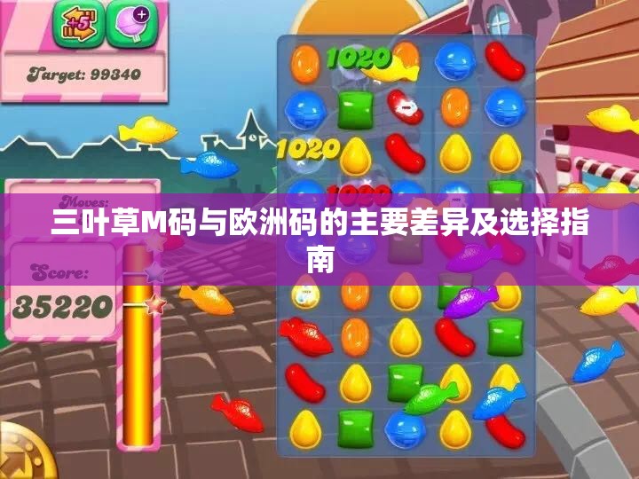 三叶草M码与欧洲码的主要差异及选择指南