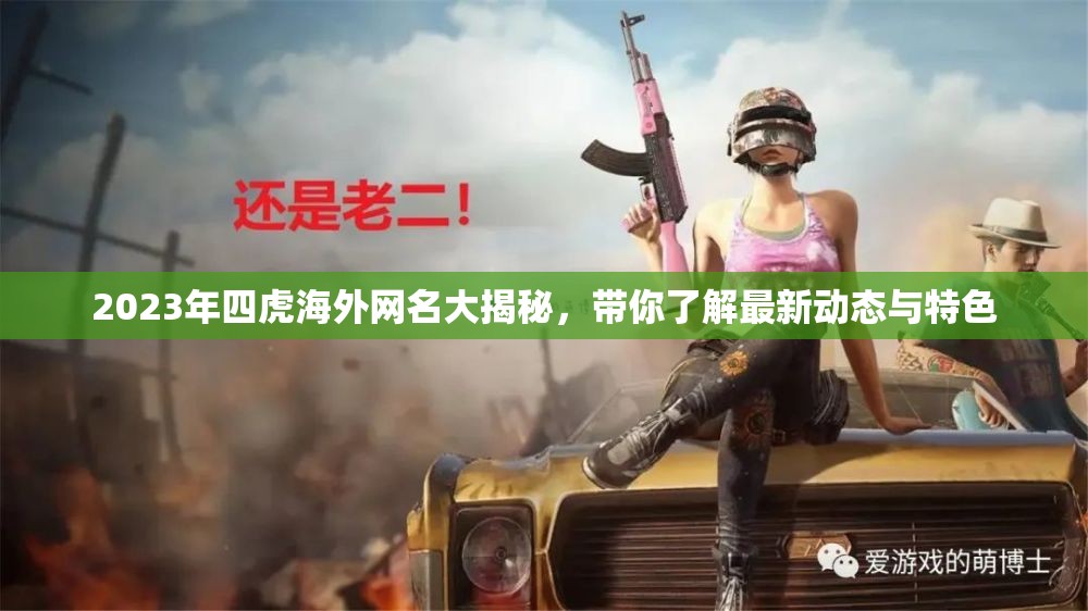 2023年四虎海外网名大揭秘，带你了解最新动态与特色