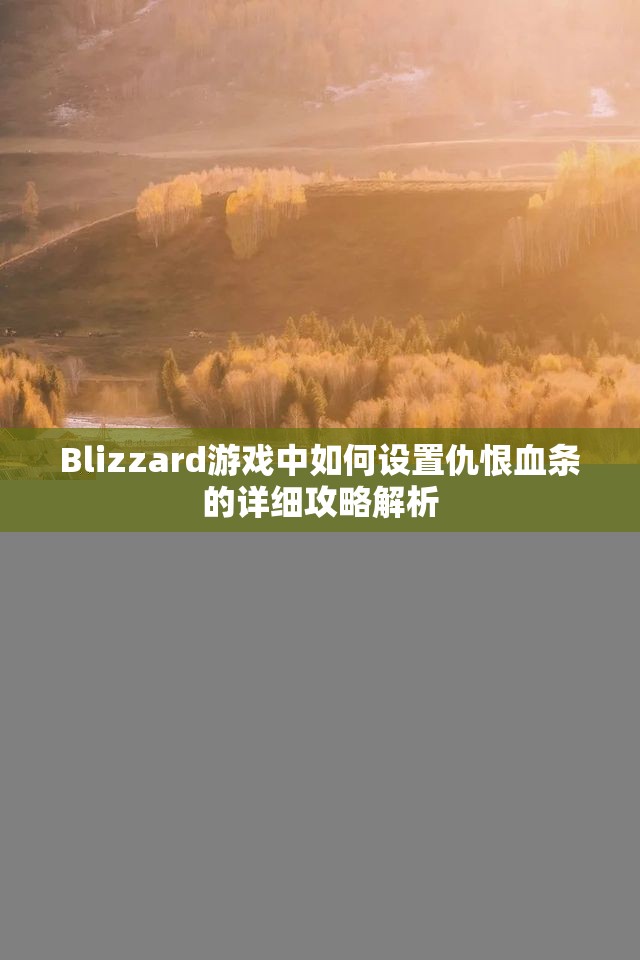 Blizzard游戏中如何设置仇恨血条的详细攻略解析