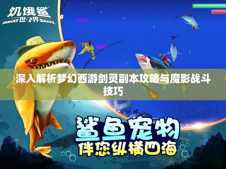 深入解析梦幻西游剑灵副本攻略与魔影战斗技巧