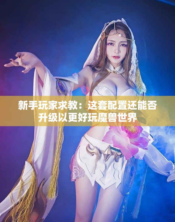 新手玩家求教：这套配置还能否升级以更好玩魔兽世界