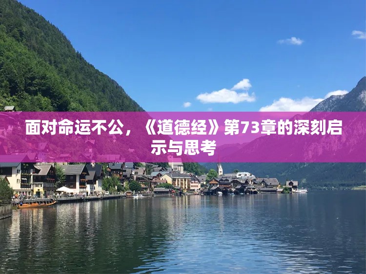 面对命运不公，《道德经》第73章的深刻启示与思考