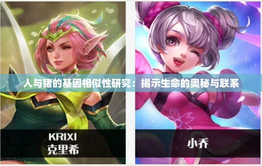 人与猪的基因相似性研究：揭示生命的奥秘与联系