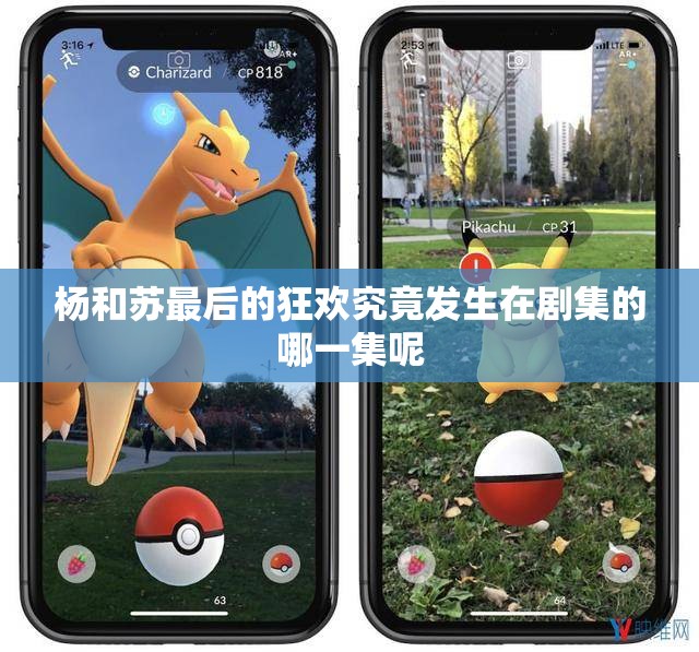 杨和苏最后的狂欢究竟发生在剧集的哪一集呢