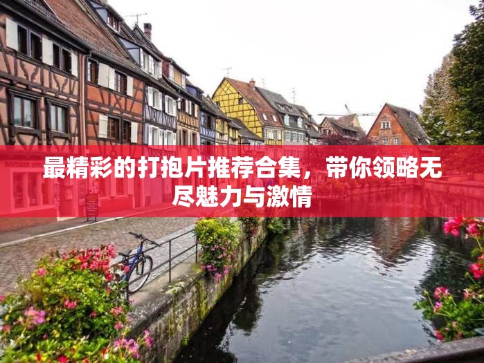 最精彩的打抱片推荐合集，带你领略无尽魅力与激情