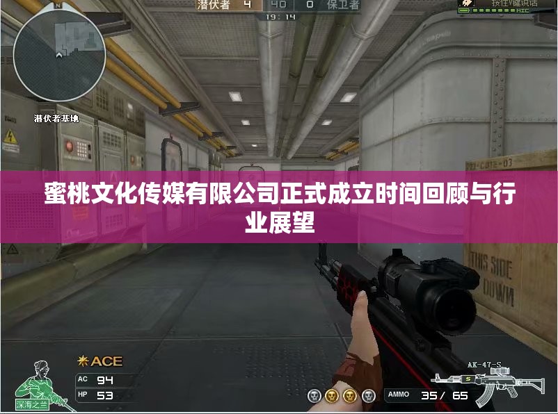 蜜桃文化传媒有限公司正式成立时间回顾与行业展望
