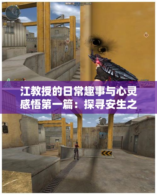 江教授的日常趣事与心灵感悟第一篇：探寻安生之道